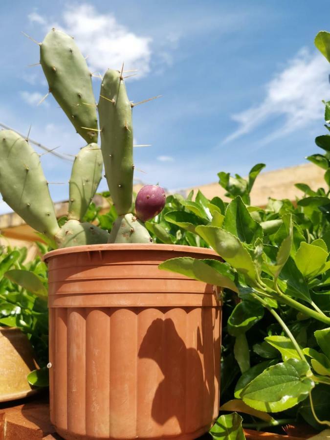 B&B Scogli Bianchi Lido di Noto Luaran gambar